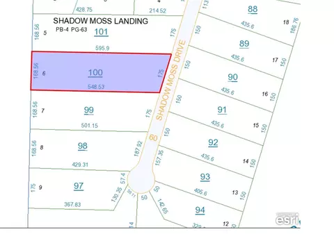 110 Shadow Moss Dr, Eufaula, AL 36027 photo 2