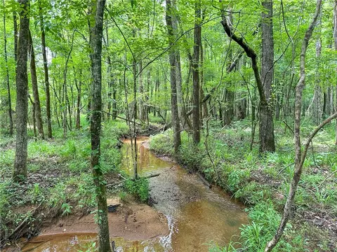 0 Lee Road 76, Auburn, AL 36879