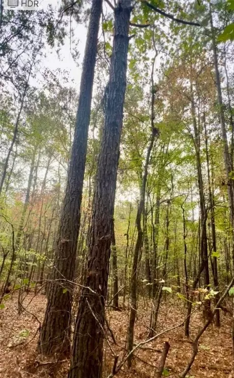 10684 Highway 22, New Site, AL 36256