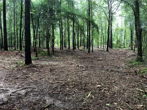 lot7 Lee Road 39, Beauregard, AL 36804
