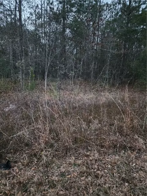 63 Kowaliga Rd, Elmore, AL 36025