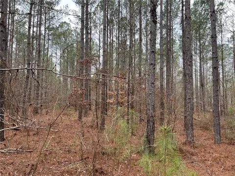 0000 Pinkston Rd, Dadeville, AL 36852