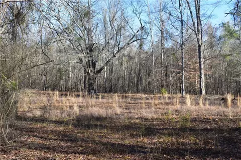 0 Double Bridge Ferry Rd, Eclectic, AL 36024 photo 4