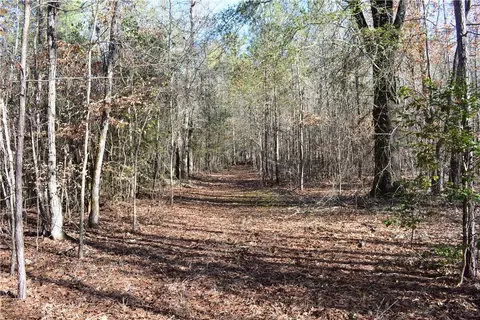 0 Double Bridge Ferry Rd, Eclectic, AL 36024 photo 3
