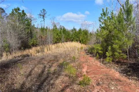 0 Double Bridge Ferry Rd, Eclectic, AL 36024 photo 7