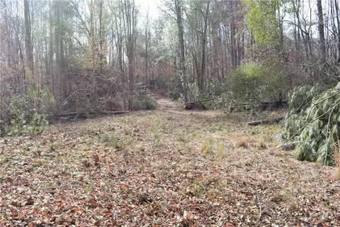 0 Double Bridge Ferry Rd, Eclectic, AL 36024 photo 9