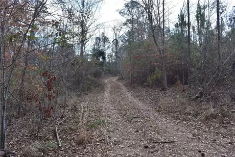 0 Double Bridge Ferry Rd, Eclectic, AL 36024 photo 8