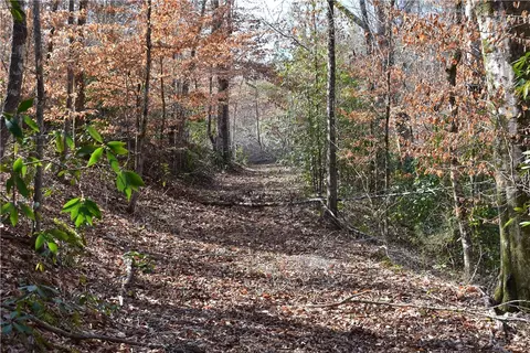 0 Double Bridge Ferry Rd, Eclectic, AL 36024 photo 6