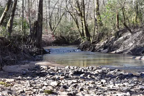 0 Double Bridge Ferry Rd, Eclectic, AL 36024