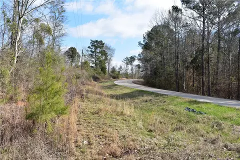 0 Double Bridge Ferry Rd, Eclectic, AL 36024 photo 2