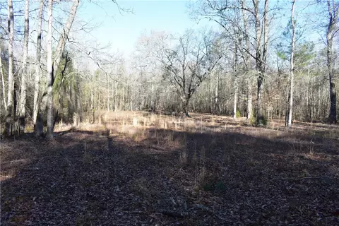 0 Double Bridge Ferry Rd, Eclectic, AL 36024 photo 5