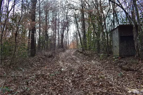 0 Double Bridge Ferry Rd, Eclectic, AL 36024 photo 10