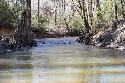 0 Double Bridge Ferry Rd, Eclectic, AL 36024 photo 11