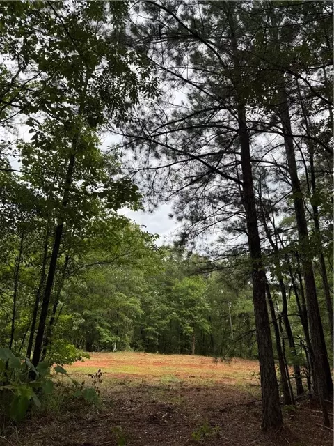0 State Hwy 188, Waverly, AL 36879