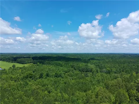 12 Acres County Road 241, Roanoke, AL 36274