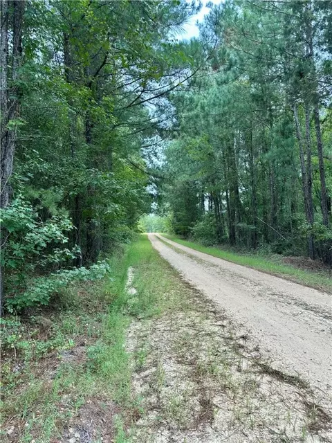 1400 Glassy Mill Rd, Auburn, AL 36380
