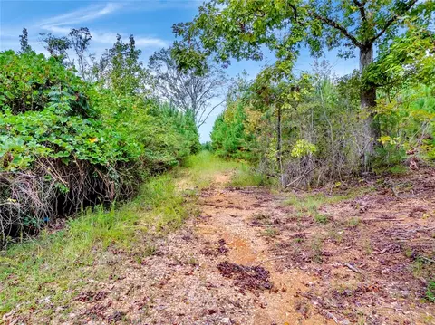 0 Warrior Rd, Ohatchee, AL 36271 photo 10