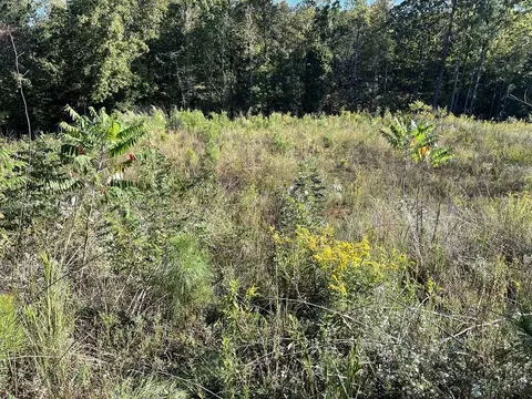 0 Lee Road 2192, Cusseta, AL 36852
