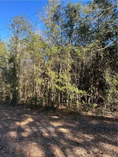 0 Lee Road 004, Auburn, AL 36832