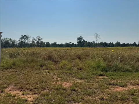 lot16 Long Leaf Ln, Opelika, AL 36804