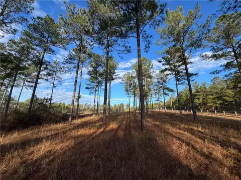 0 Farmville Rd, Camp Hill, AL 36850