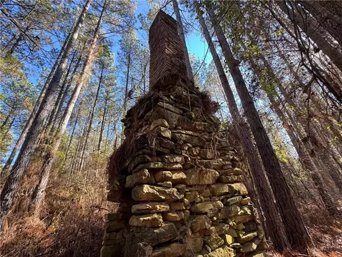 0 County Road 48, La Fayette, AL 36862