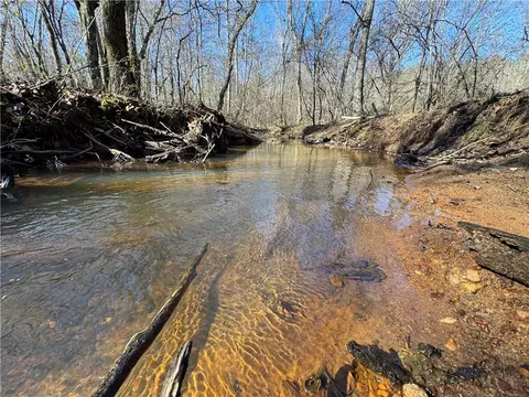 0 County Road 48, La Fayette, AL 36862