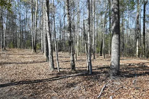 3695 Ridgeline Trl, Auburn, AL 36830