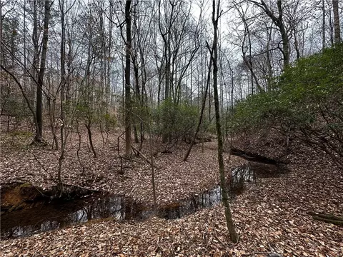0 Lee Road 367, Valley, AL 36854
