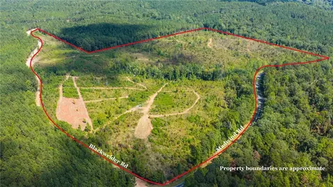 51 Acres Madwind Rd, Jacksons Gap, AL 36861
