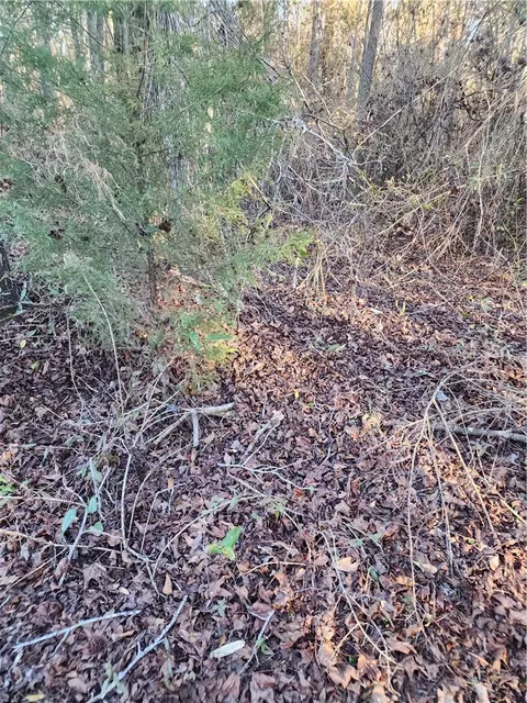 1598 Lee Road 39, Opelika, AL 36804