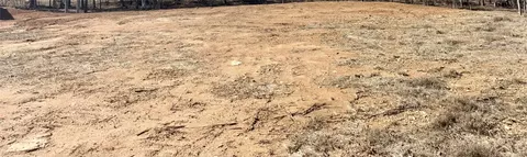 lot3 Lee Road 353, Valley, AL 36854