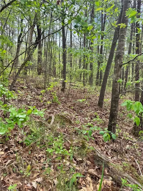 lot24 Marshall Dr, Mc Calla, AL 35111
