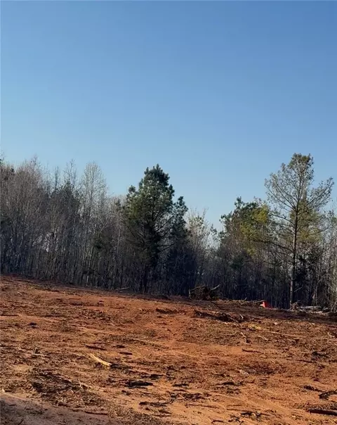 lot1 Lee Road 158, Salem, AL 36874
