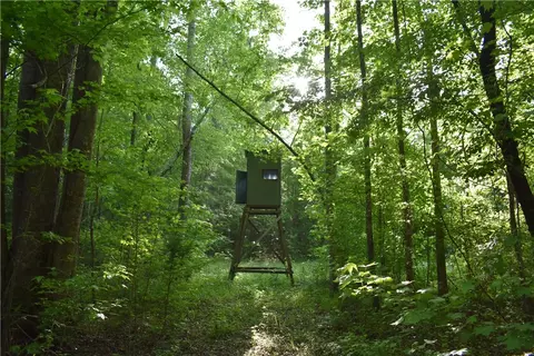 0 Jackson Rd, Camp Hill, AL 36850