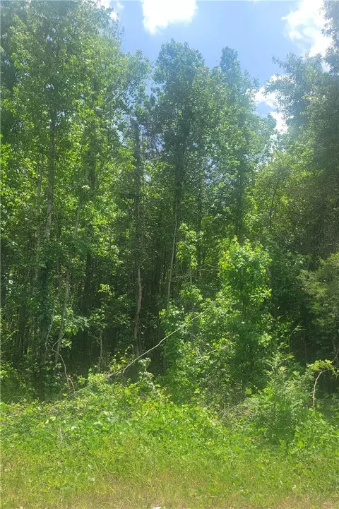 00 O B Brown Rd, Auburn, AL 36830