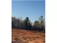 lot3 Lee Road 158, Salem, AL 36874
