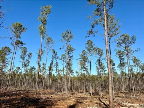 0 Lee Road 278, Salem, AL 36874