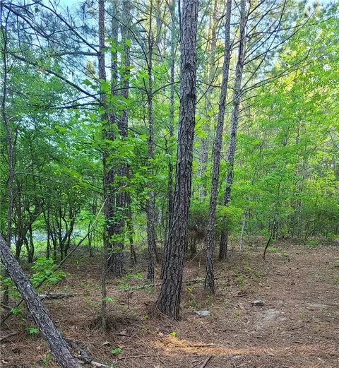 000 O B Brown Rd, Auburn, AL 36830