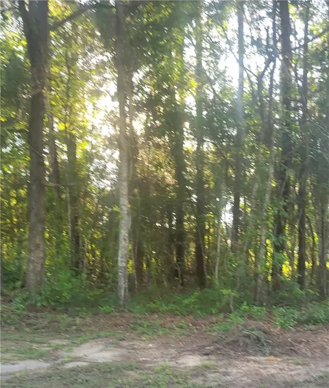 00 Webb Ave, Tuskegee, AL 36083