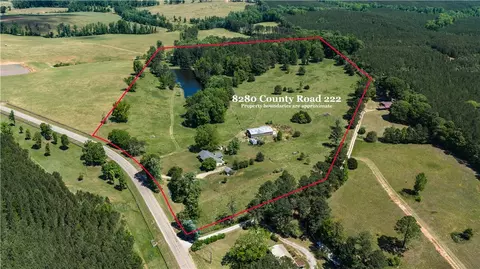 8280 County Road 222, Five Points, AL 36855