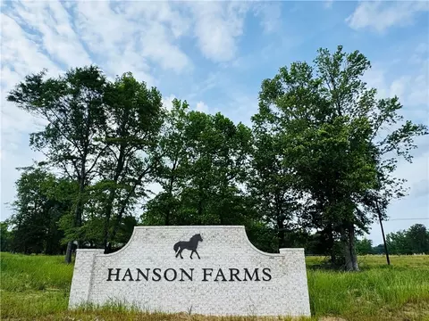1060 Hanson Farms Dr, Auburn, AL 36830