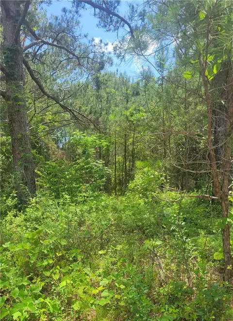 00 O B Brown Rd, Auburn, AL 36830