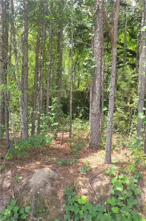 01 O B Brown Rd, Auburn, AL 36830
