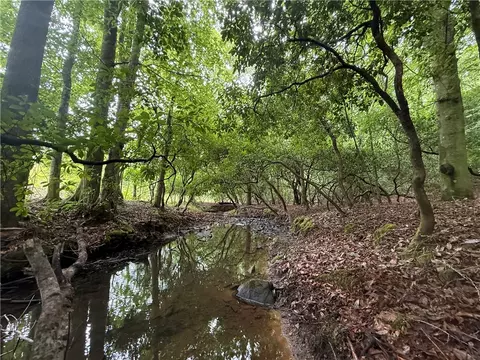 00 Lindsey Rd, Eclectic, AL 36024 photo 25