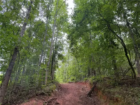 00 Lindsey Rd, Eclectic, AL 36024 photo 13