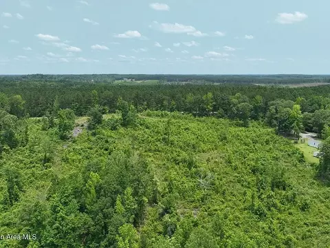 00 Lindsey Rd, Eclectic, AL 36024 photo 30