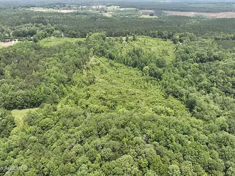 00 Lindsey Rd, Eclectic, AL 36024 photo 27