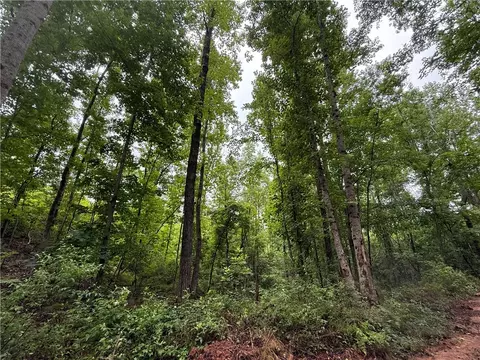 00 Lindsey Rd, Eclectic, AL 36024 photo 12