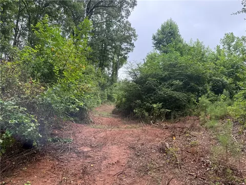 00 Lindsey Rd, Eclectic, AL 36024 photo 10